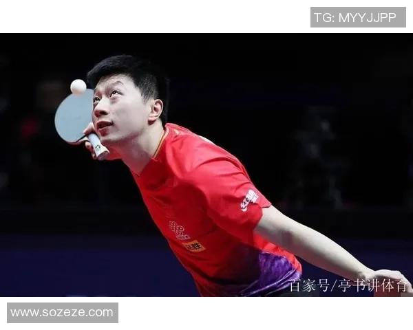 南京乒乓球队战术探讨：聚焦技术与团队配合的完美结合