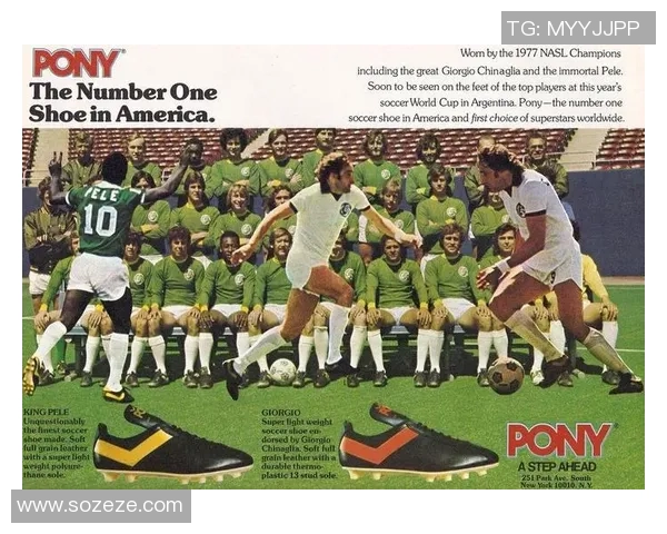 足球明星背后的奋斗与坚持揭示他们成就辉煌的真实故事