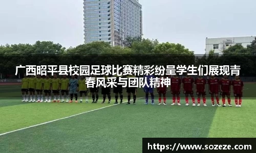 AC米兰体育官网入口